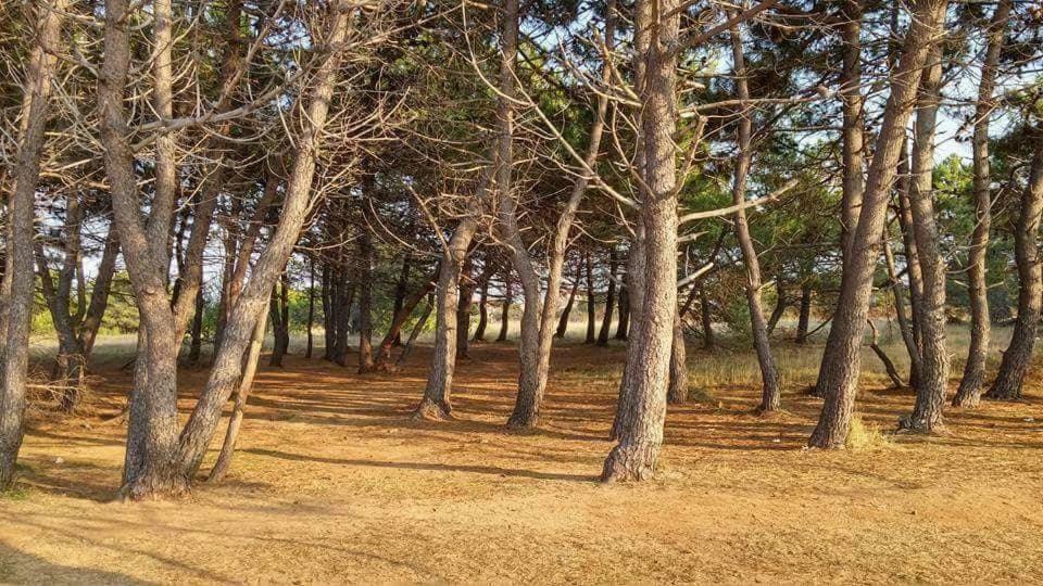 Villa Gizmo Vir Esterno foto